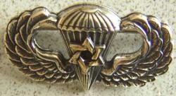 WW II Jewish Chaplain Paratrooper Wing Sterling