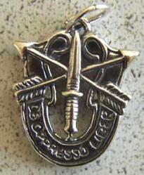 Special Forces Charm Heavy Sterling Vietnam to Current