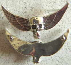 Vietnam SF MACV-SOG Skull Wings Badge Sterling