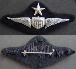 WWI Military Aviator Wing Sterling Meyer design
