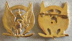 WWI Lafayette Flying Corps Badge Sterling w Gold Plate