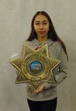 California Department of Corrections and Rehabilitation (officer) Badge all Metal Sign with your Badge Number added.