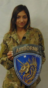 13th Airborne Division Metal Sign 11 x 16"