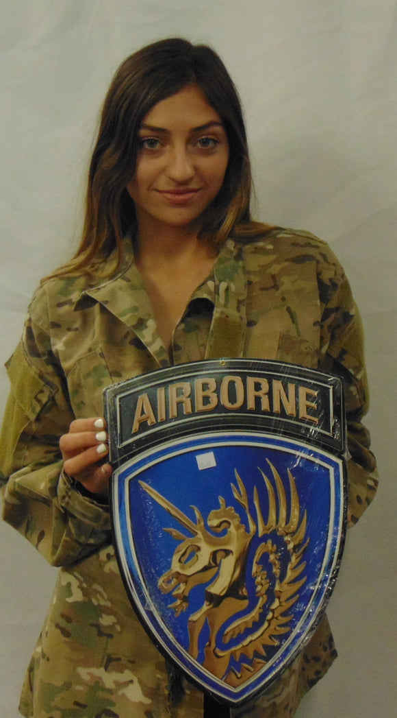 13th Airborne Division Metal Sign 11 x 16