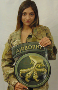17th Airborne Division 13 x 16" Metal Sign
