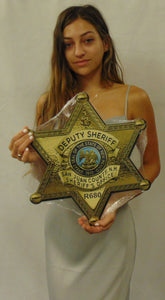San Juan County New Mexico Sheriff's Department (Deputy) Badge All Metal Sign With Your Badge Number