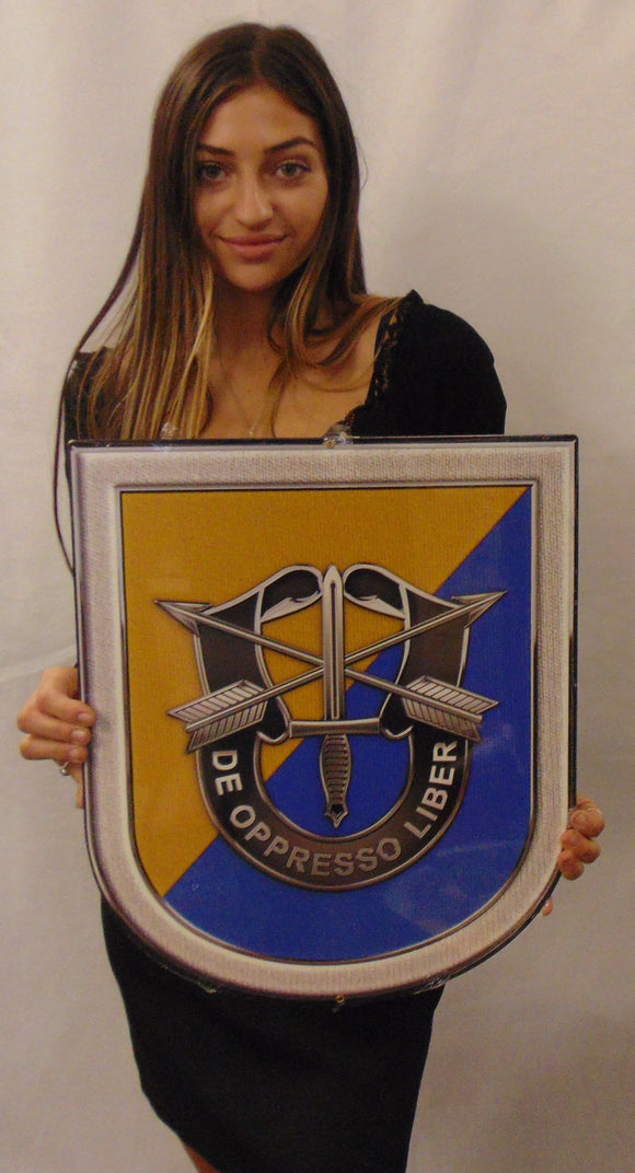 8th Special Forces (SF) Group Airborne all metal Sign 15 x 18