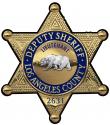 Los Angeles Sheriff's Department (Lieutenant) Badge All Metal Sign With Your Badge Number.